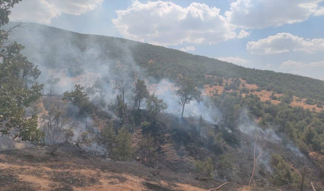 Orman yangınlarından bu yıl en fazla etkilenen 10 il belli oldu 3